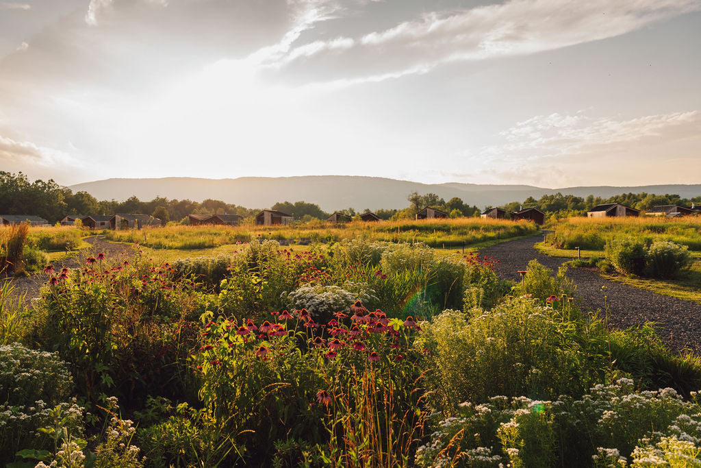 Hudson Valley Road Trip Recap