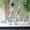 Vases (set of 3 multi shape)